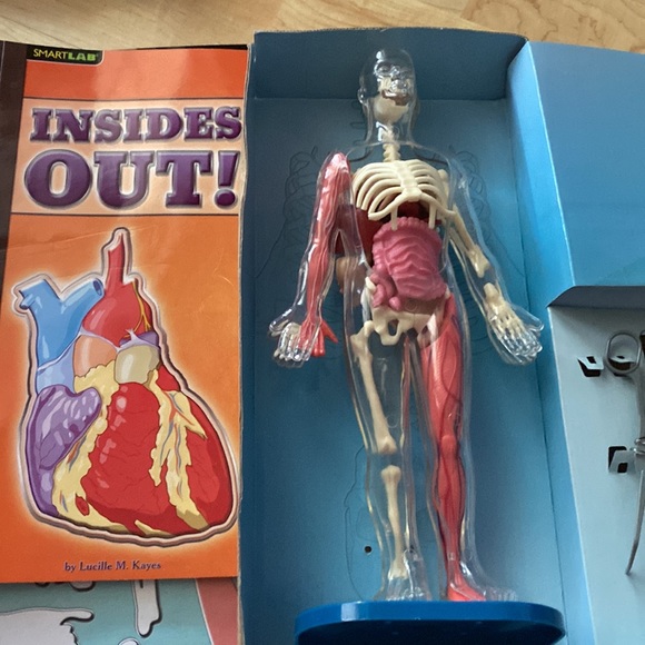 Youth science toy - Squishy Human Body 8+ - Picture 6 of 12